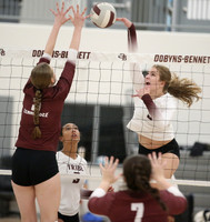 Volleyball 2025