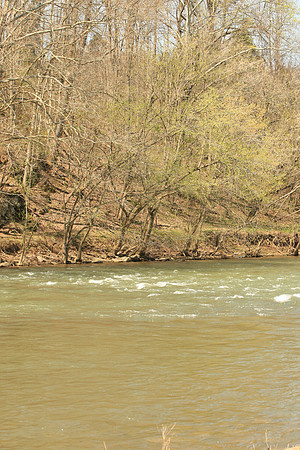 Hiltons Virginia