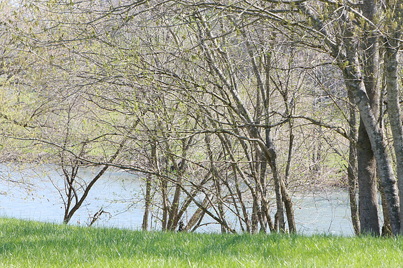 Hiltons Virginia