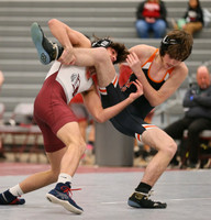 Wrestling