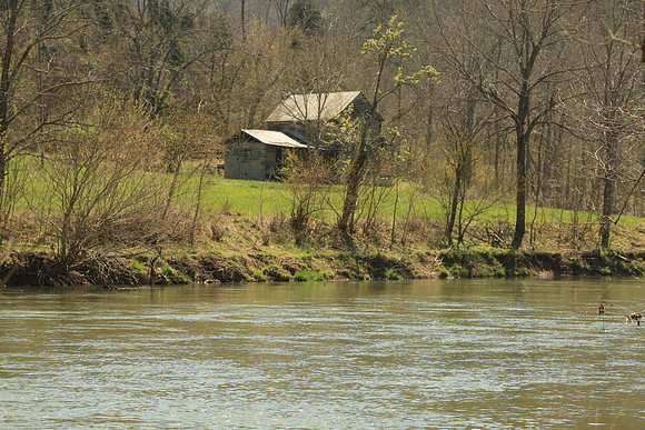 Hiltons Virginia