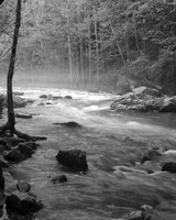 Flanagan's Dam , Haysi Va