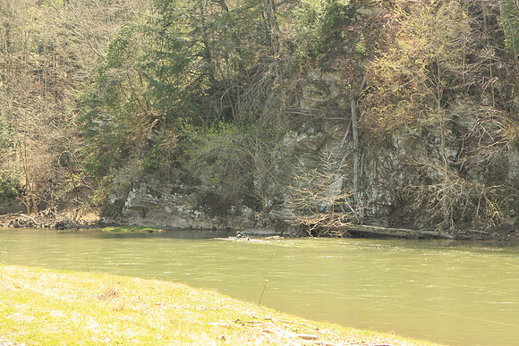 Hiltons Virginia