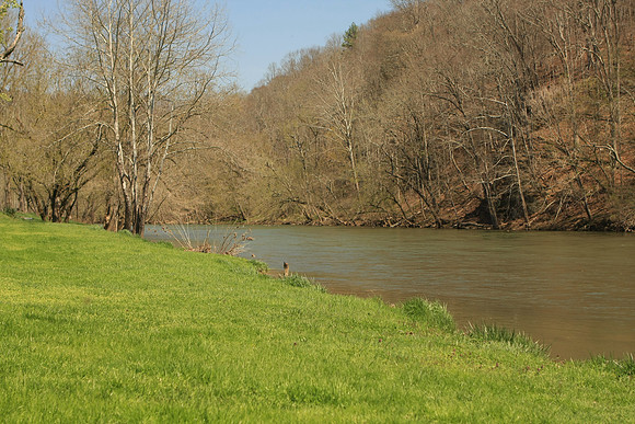 Hiltons Virginia