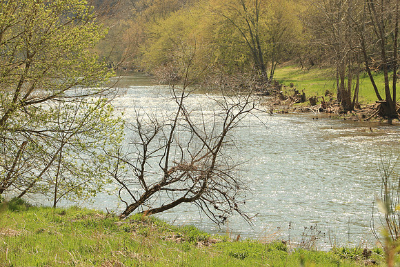 Hiltons Virginia