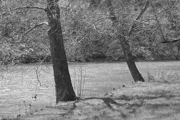 Hiltons Virginia
