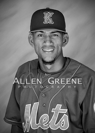5019 Guedez , Ronald RHP-3