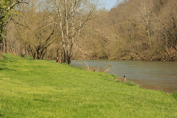 Hiltons Virginia