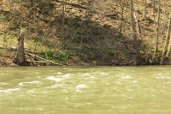Hiltons Virginia