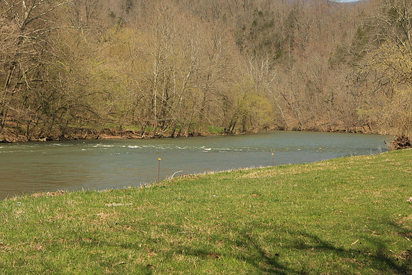 Hiltons Virginia