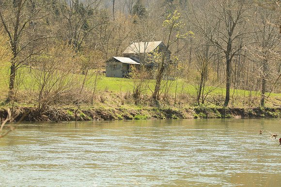 Hiltons Virginia