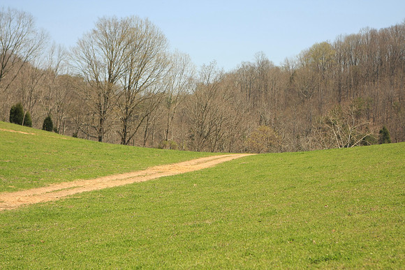Hiltons Virginia