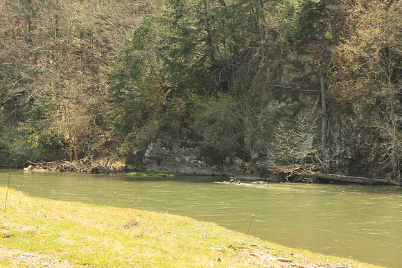Hiltons Virginia