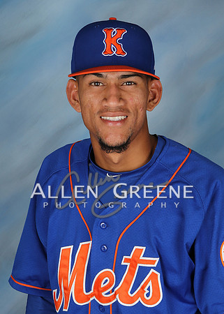 5019 Guedez , Ronald RHP