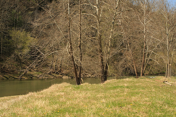 Hiltons Virginia