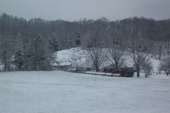Bloomingdale - Kingsport