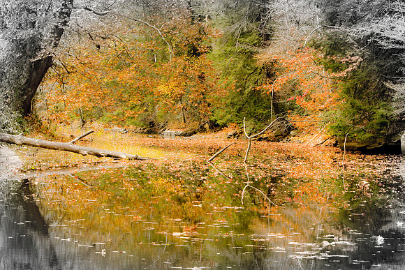 Pennington Gap, Va